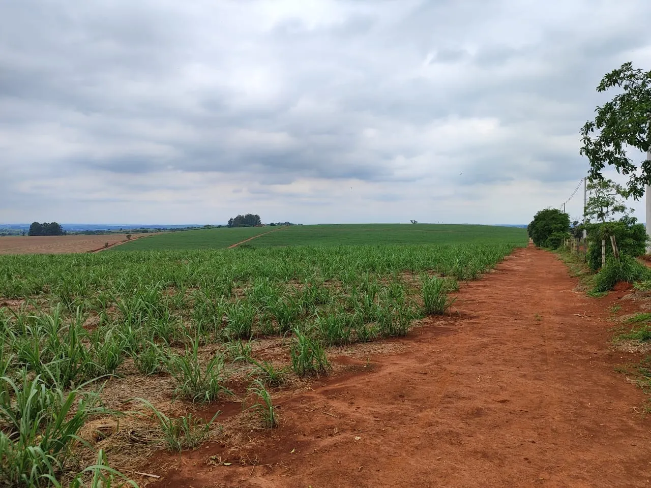 Fazenda à venda de 102 ha em Tatuí, SP, Brasil