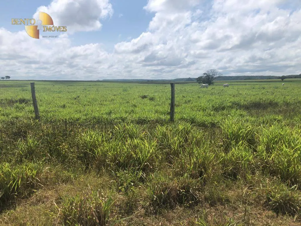 Fazenda à venda de 4.095 ha em Araguaína, TO, Brasil