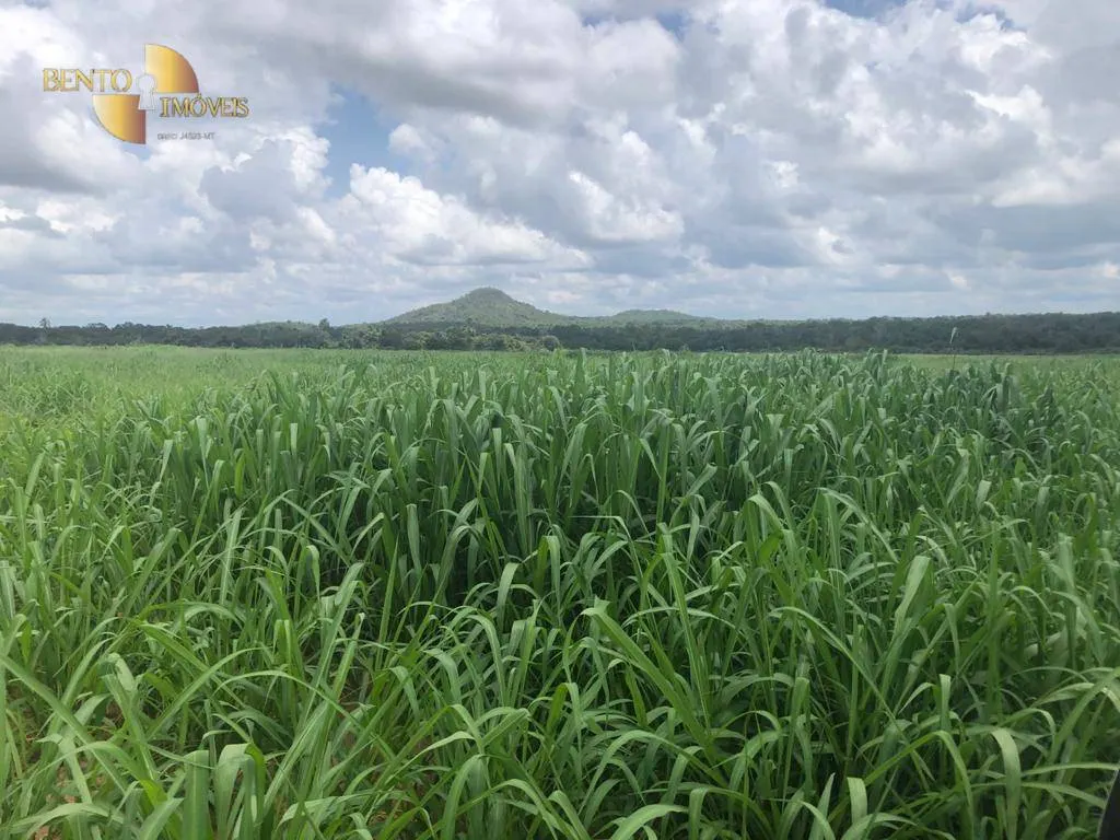 Fazenda à venda de 4.095 ha em Araguaína, TO, Brasil