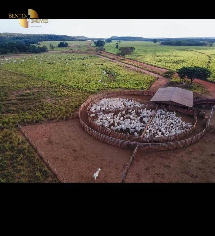 Fazenda à venda de 4.095 ha em Araguaína, TO, Brasil
