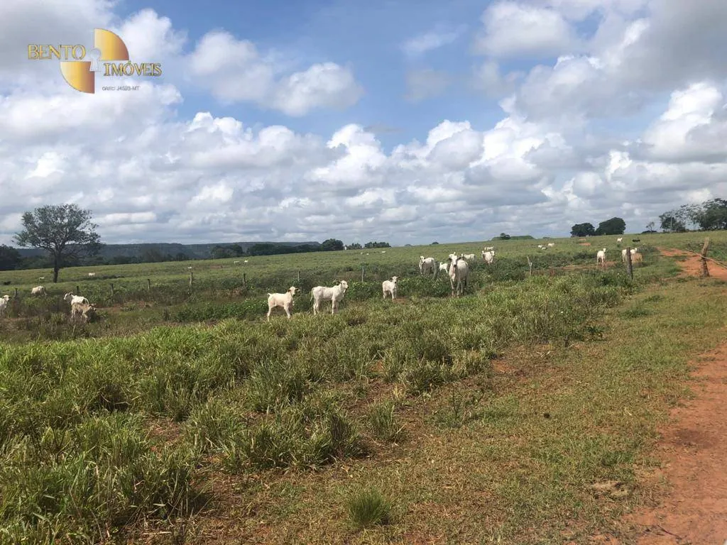 Fazenda à venda de 4.095 ha em Araguaína, TO, Brasil