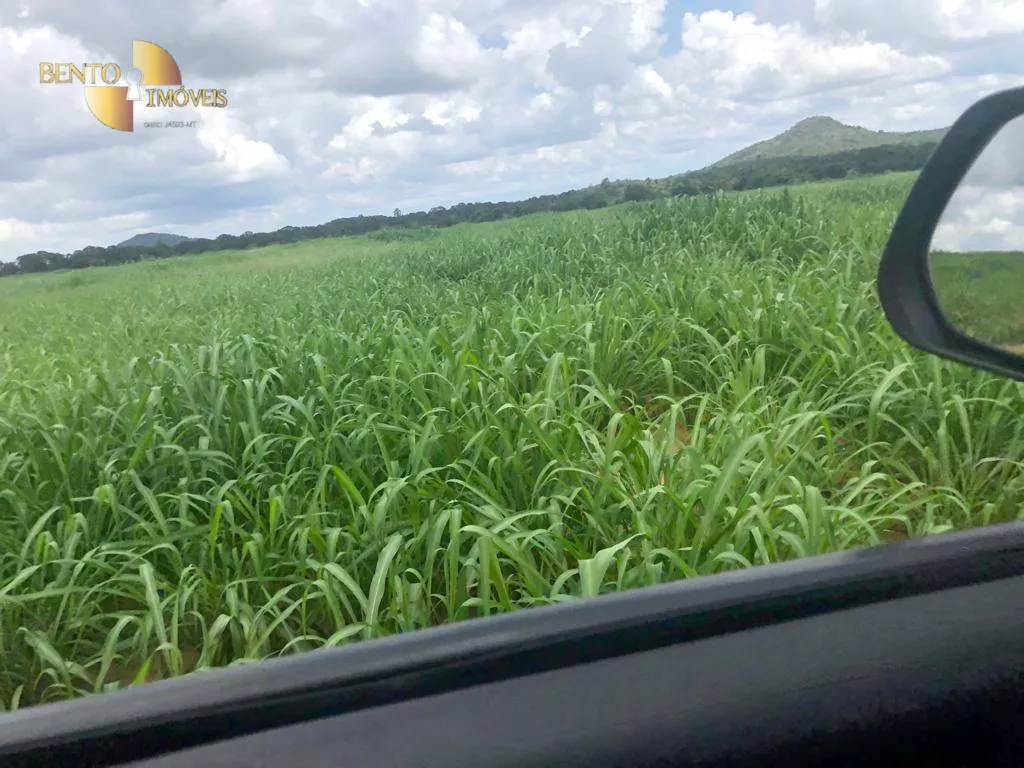 Fazenda à venda de 4.095 ha em Araguaína, TO, Brasil