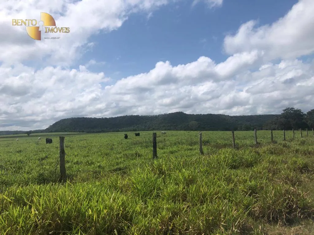 Fazenda à venda de 4.095 ha em Araguaína, TO, Brasil