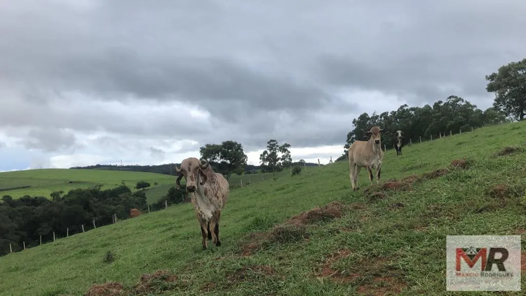 Plot for sale of 1 acres in Congonhal, MG, Brazil