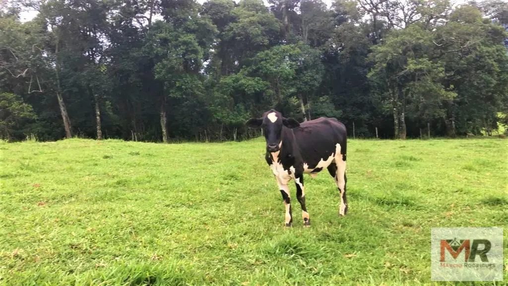 Plot for sale of 1 acres in Congonhal, MG, Brazil