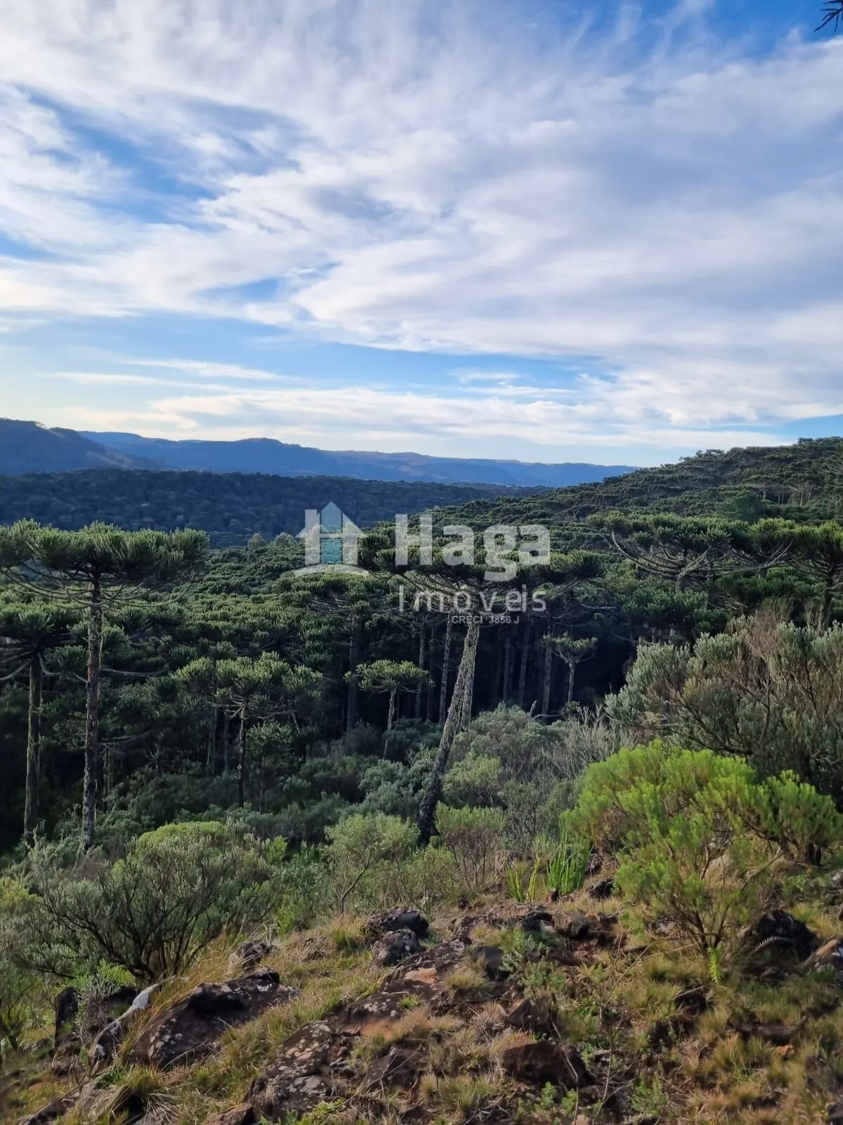 Country home for sale of 12 acres in Bom Jardim da Serra, SC, Brazil