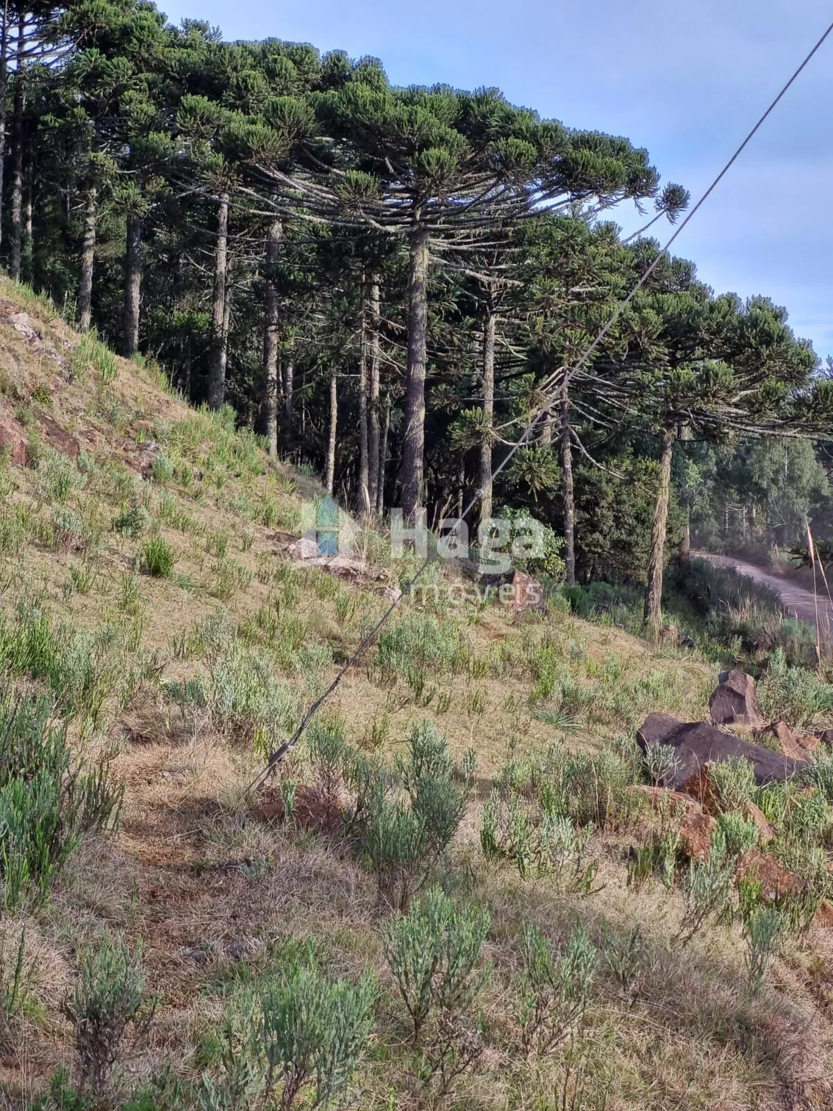 Country home for sale of 12 acres in Bom Jardim da Serra, SC, Brazil