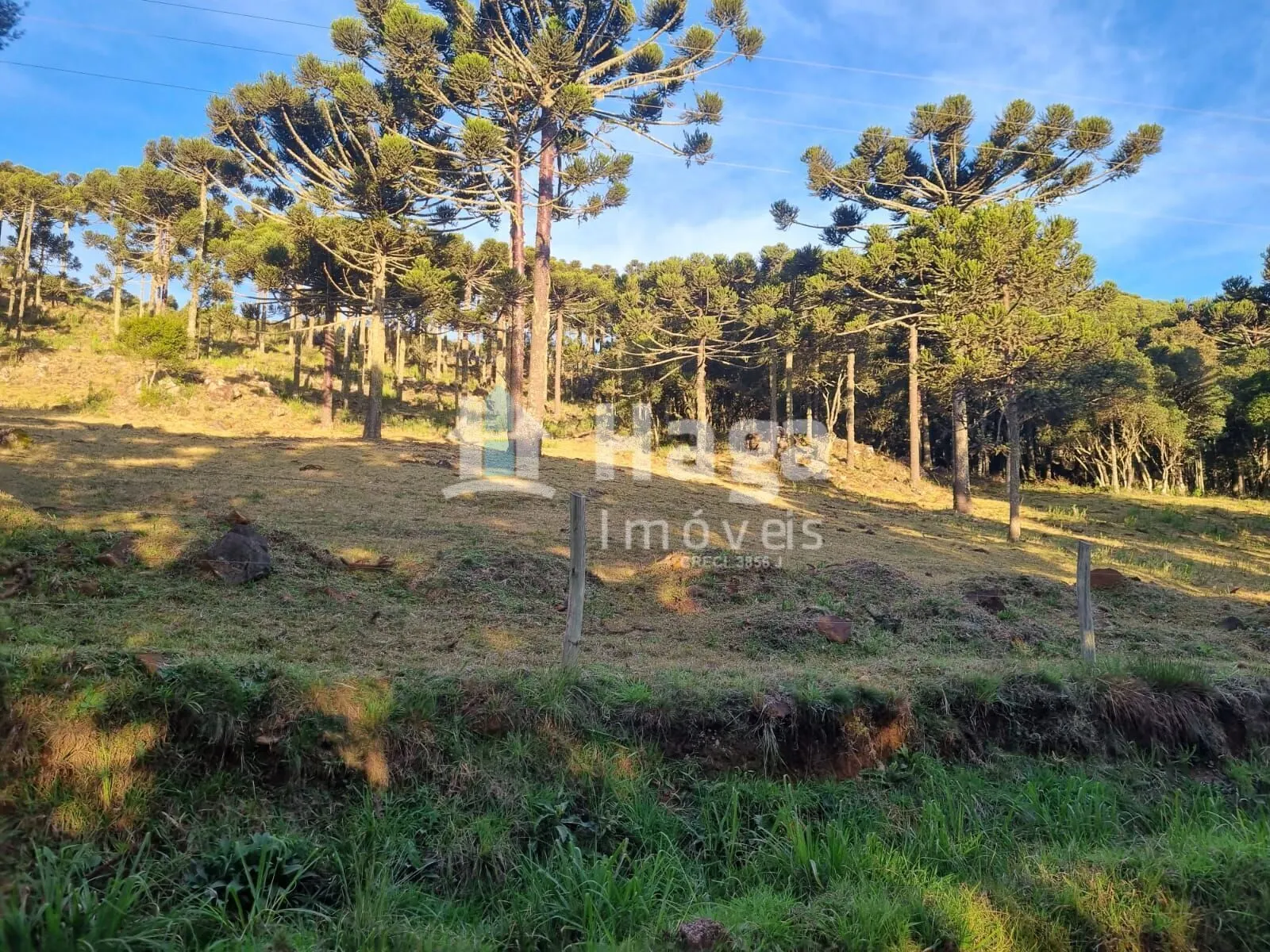 Country home for sale of 12 acres in Bom Jardim da Serra, SC, Brazil