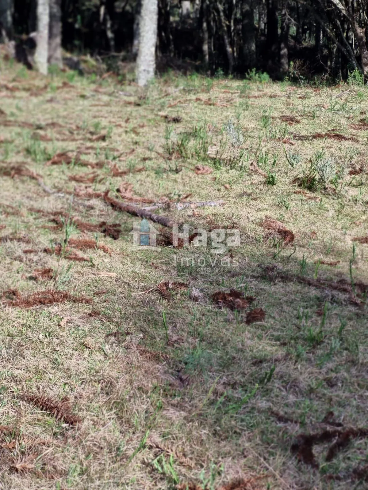 Country home for sale of 12 acres in Bom Jardim da Serra, SC, Brazil