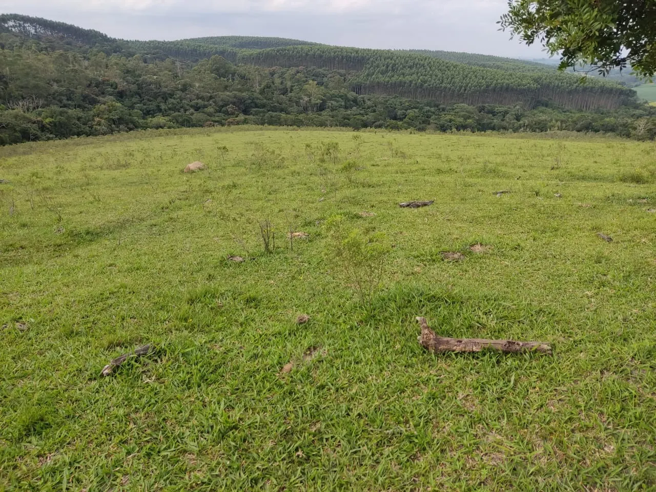 Small farm for sale of 108 acres in São Miguel Arcanjo, SP, Brazil