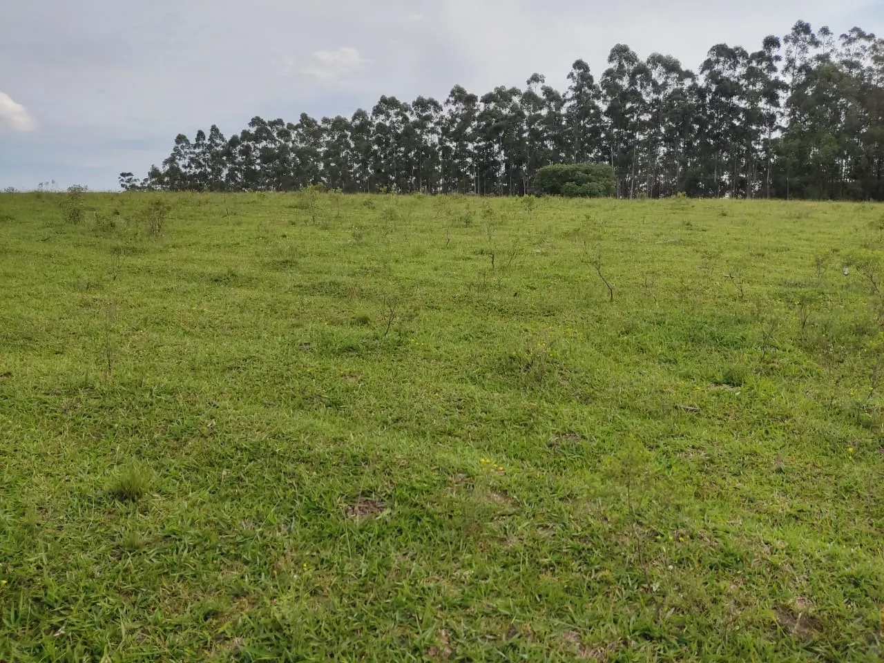 Small farm for sale of 108 acres in São Miguel Arcanjo, SP, Brazil