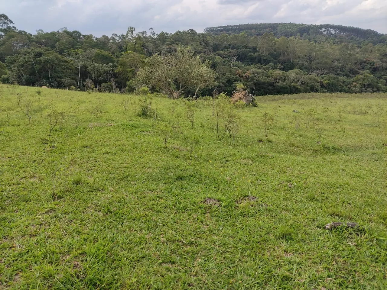 Small farm for sale of 108 acres in São Miguel Arcanjo, SP, Brazil