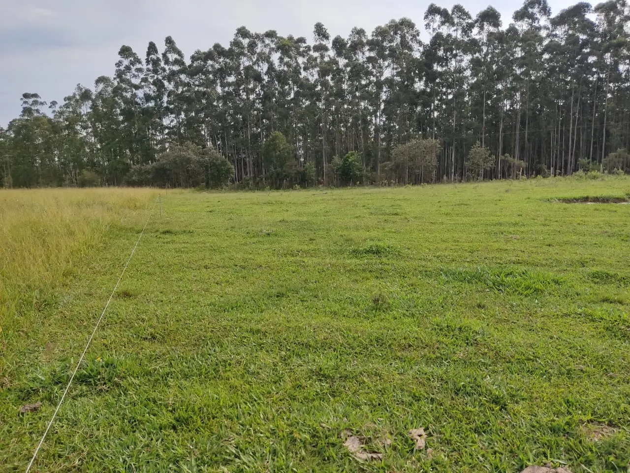 Small farm for sale of 108 acres in São Miguel Arcanjo, SP, Brazil