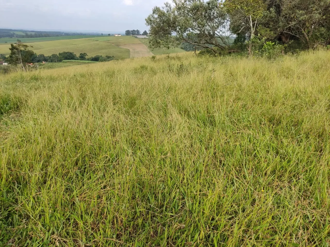 Small farm for sale of 108 acres in São Miguel Arcanjo, SP, Brazil