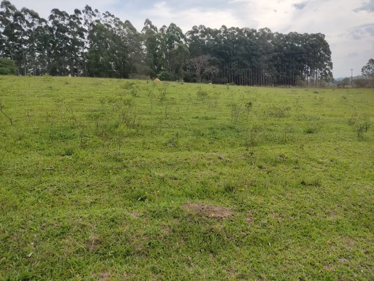 Small farm for sale of 108 acres in São Miguel Arcanjo, SP, Brazil