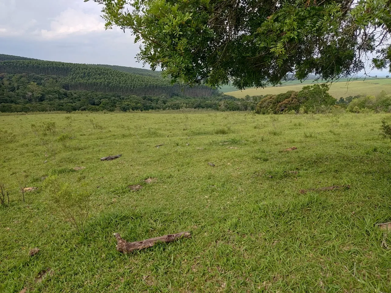 Small farm for sale of 108 acres in São Miguel Arcanjo, SP, Brazil