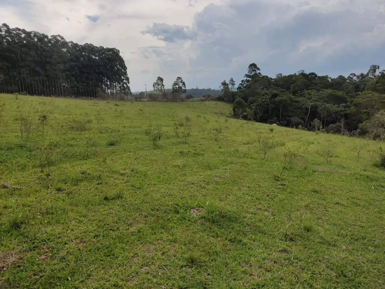 Small farm for sale of 108 acres in São Miguel Arcanjo, SP, Brazil