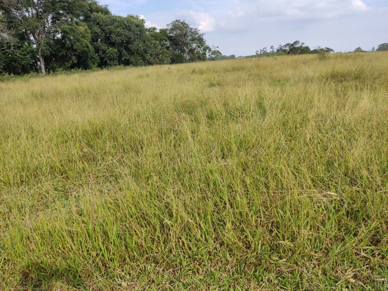 Small farm for sale of 108 acres in São Miguel Arcanjo, SP, Brazil