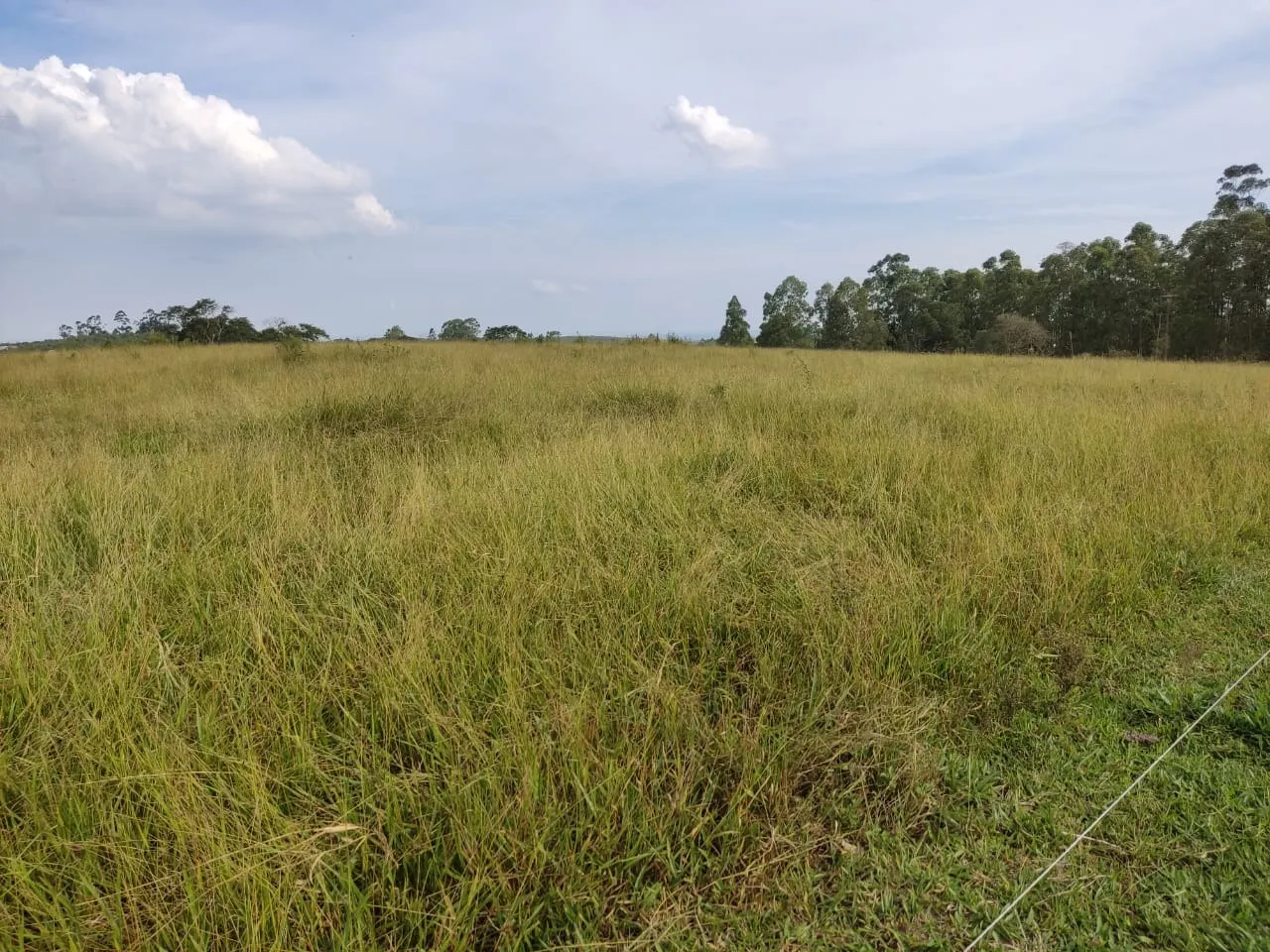 Small farm for sale of 108 acres in São Miguel Arcanjo, SP, Brazil