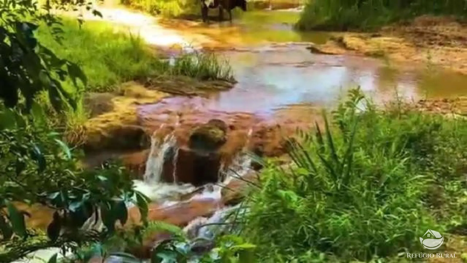 Fazenda à venda de 2.541 ha em Santa Branca, SP, Brasil