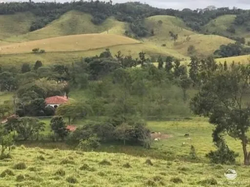 Fazenda à venda de 2.541 ha em Santa Branca, SP, Brasil