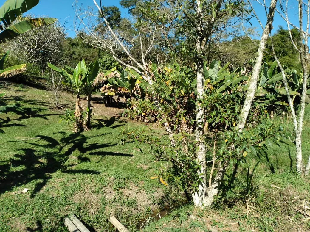 Small farm for sale of 5 acres in Paraibuna, SP, Brazil