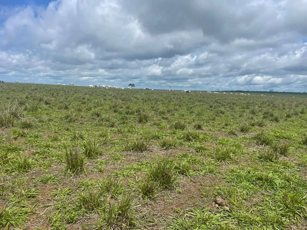 Farm for sale of 17,297 acres in Feliz Natal, MT, Brazil