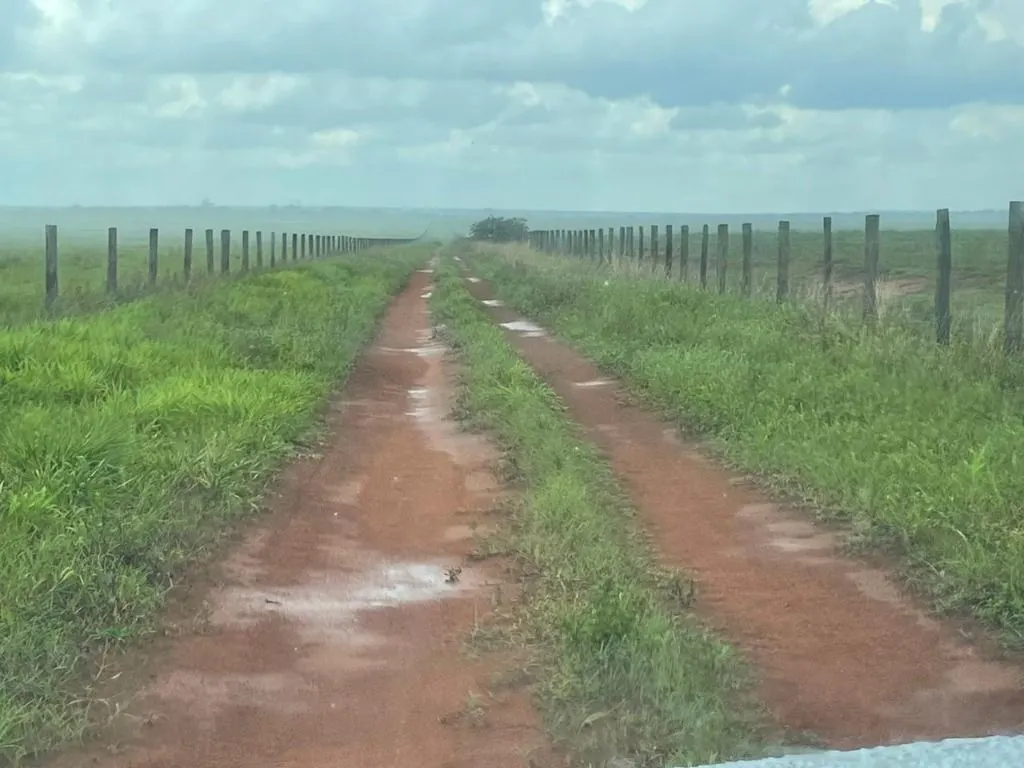 Farm for sale of 17,297 acres in Feliz Natal, MT, Brazil