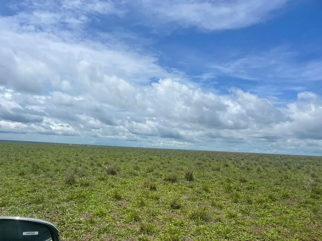 Farm for sale of 17,297 acres in Feliz Natal, MT, Brazil