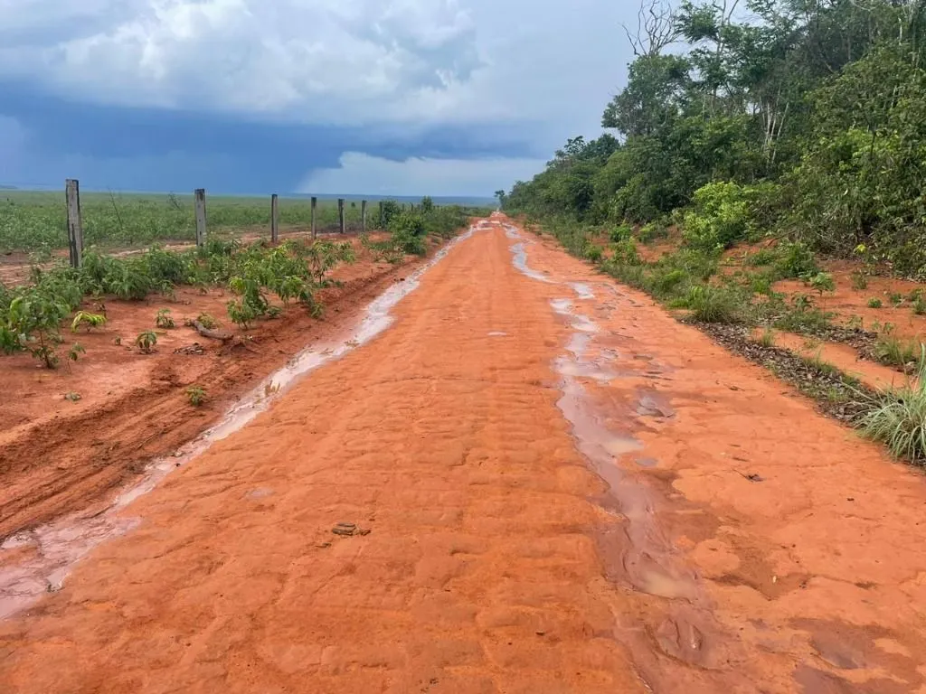Farm for sale of 17,297 acres in Feliz Natal, MT, Brazil