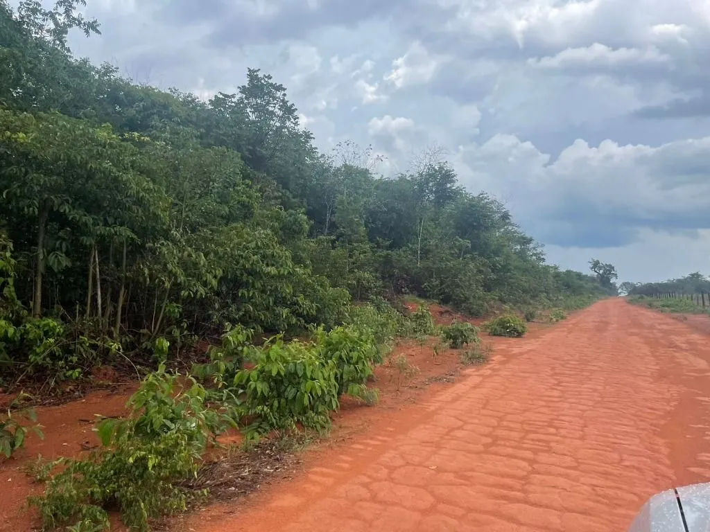 Farm for sale of 17,297 acres in Feliz Natal, MT, Brazil