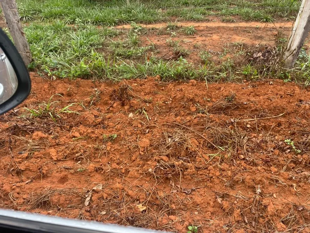 Farm for sale of 17,297 acres in Feliz Natal, MT, Brazil