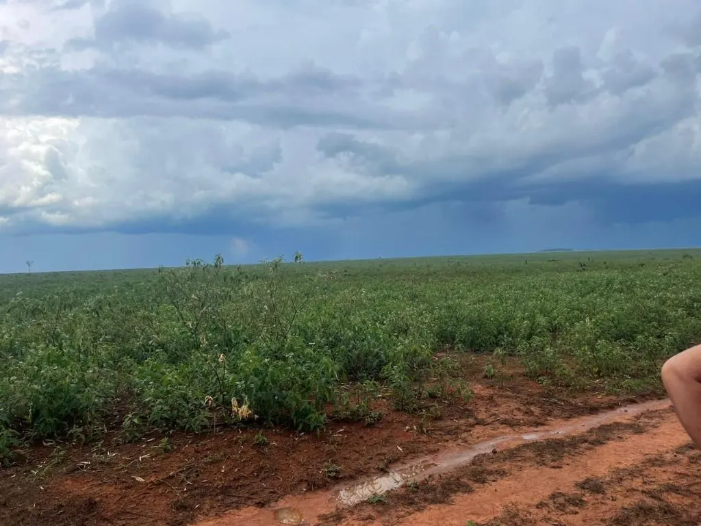 Farm for sale of 17,297 acres in Feliz Natal, MT, Brazil