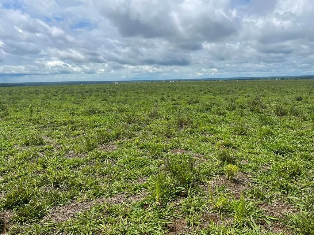 Farm for sale of 17,297 acres in Feliz Natal, MT, Brazil