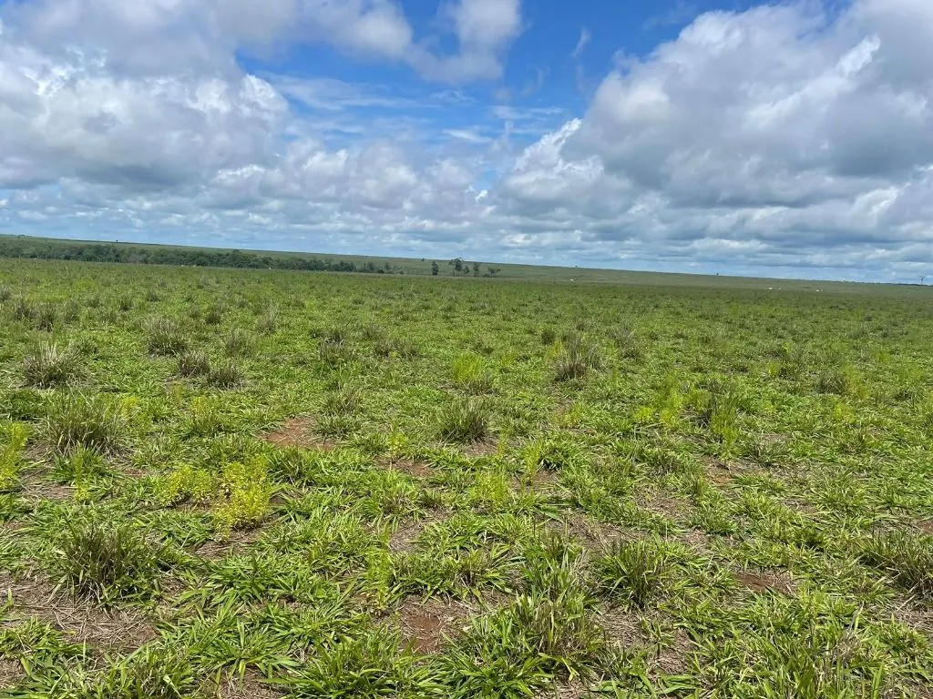 Farm for sale of 17,297 acres in Feliz Natal, MT, Brazil