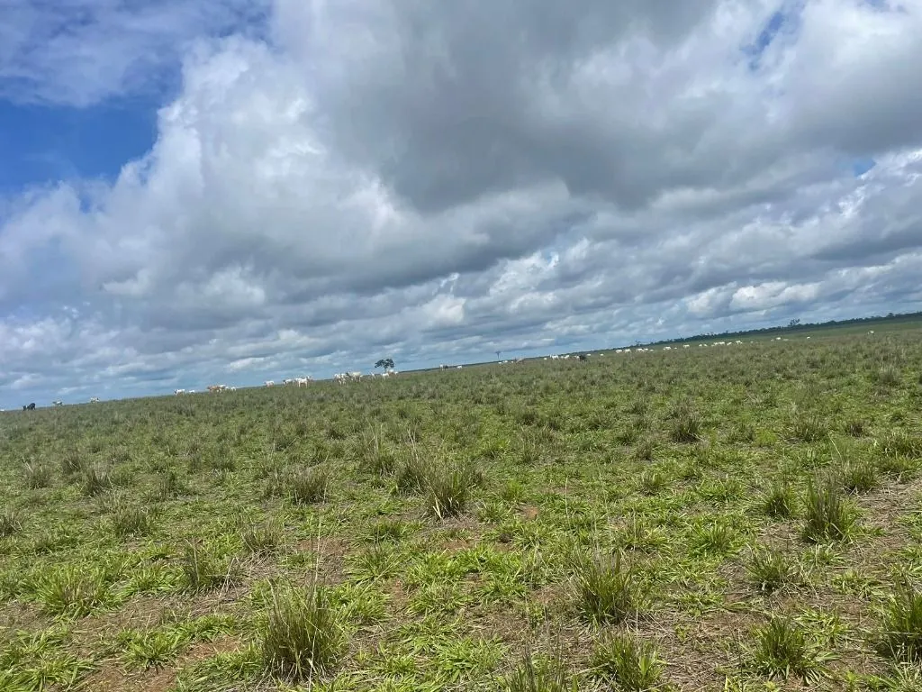 Farm for sale of 17,297 acres in Feliz Natal, MT, Brazil