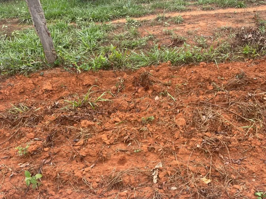Farm for sale of 17,297 acres in Feliz Natal, MT, Brazil