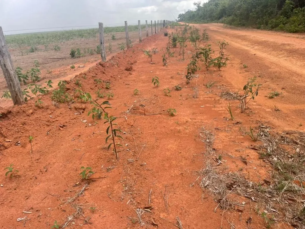 Farm for sale of 17,297 acres in Feliz Natal, MT, Brazil