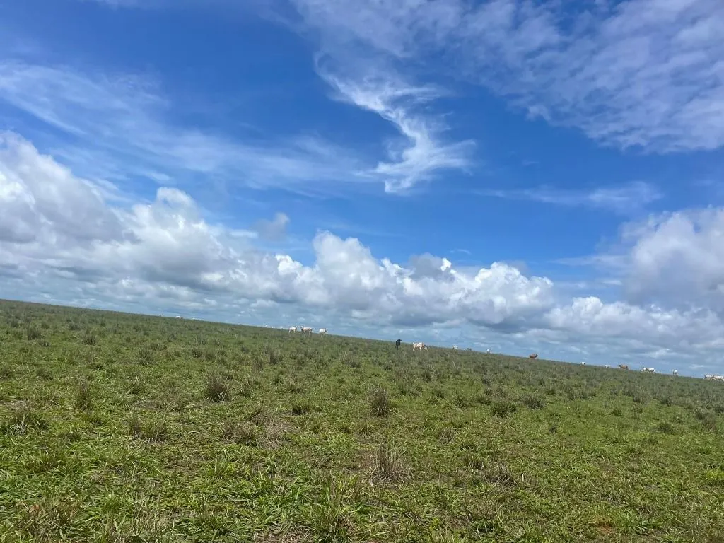 Fazenda à venda de 7.000 ha em Feliz Natal, MT, Brasil