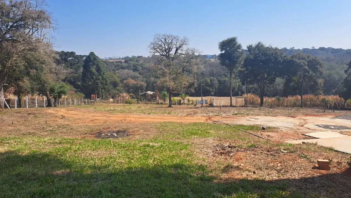 Small farm for sale of 4 acres in Ipiranga, PR, Brazil