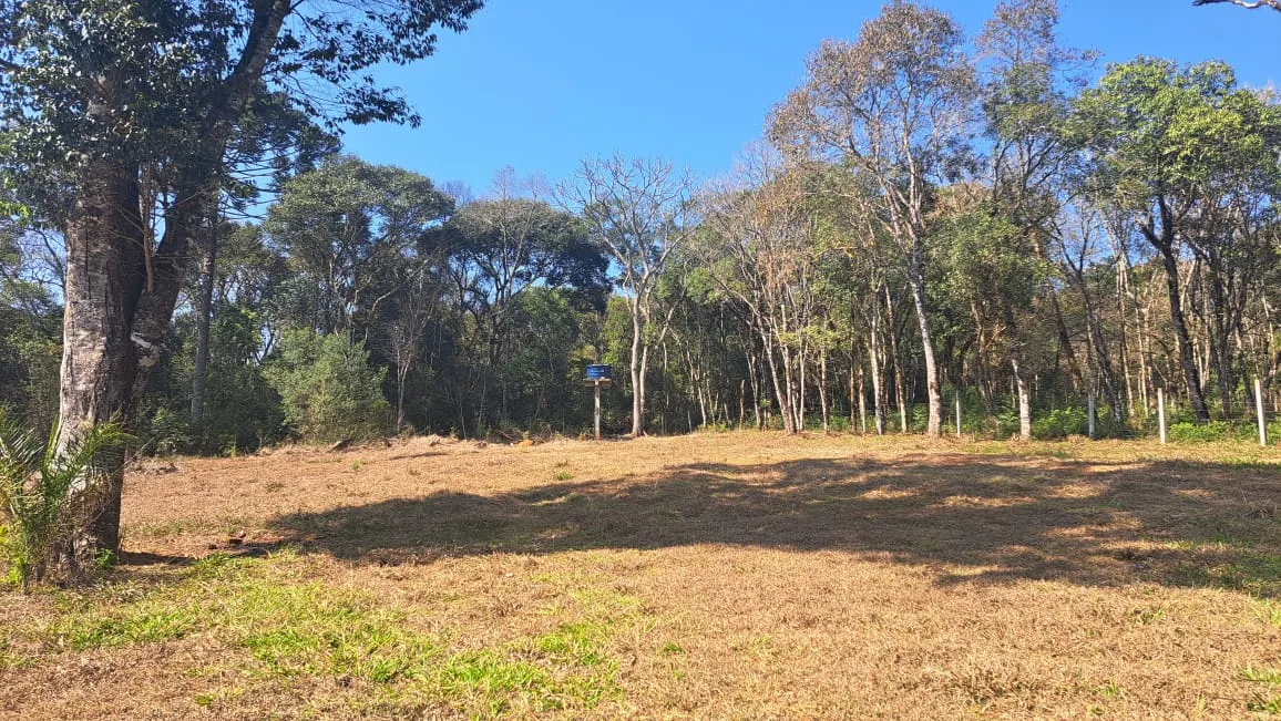 Small farm for sale of 4 acres in Ipiranga, PR, Brazil