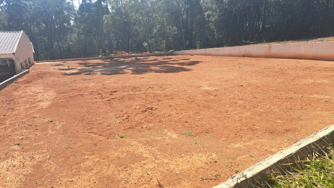 Small farm for sale of 4 acres in Ipiranga, PR, Brazil