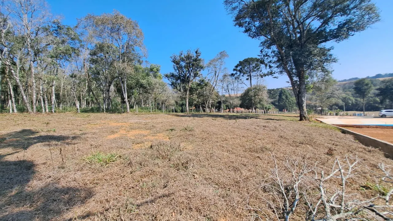 Small farm for sale of 4 acres in Ipiranga, PR, Brazil