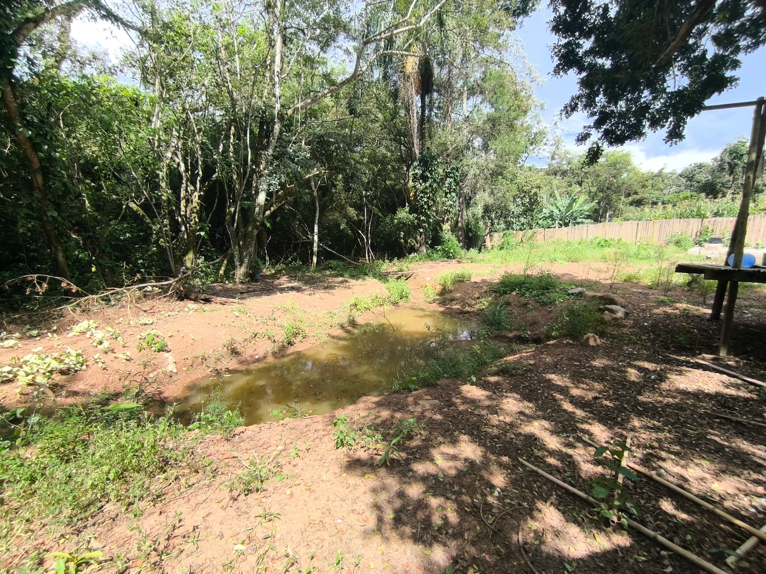 Sítio à venda e para Arrendar de 2.033 ha em Poços de Caldas, MG, Brasil