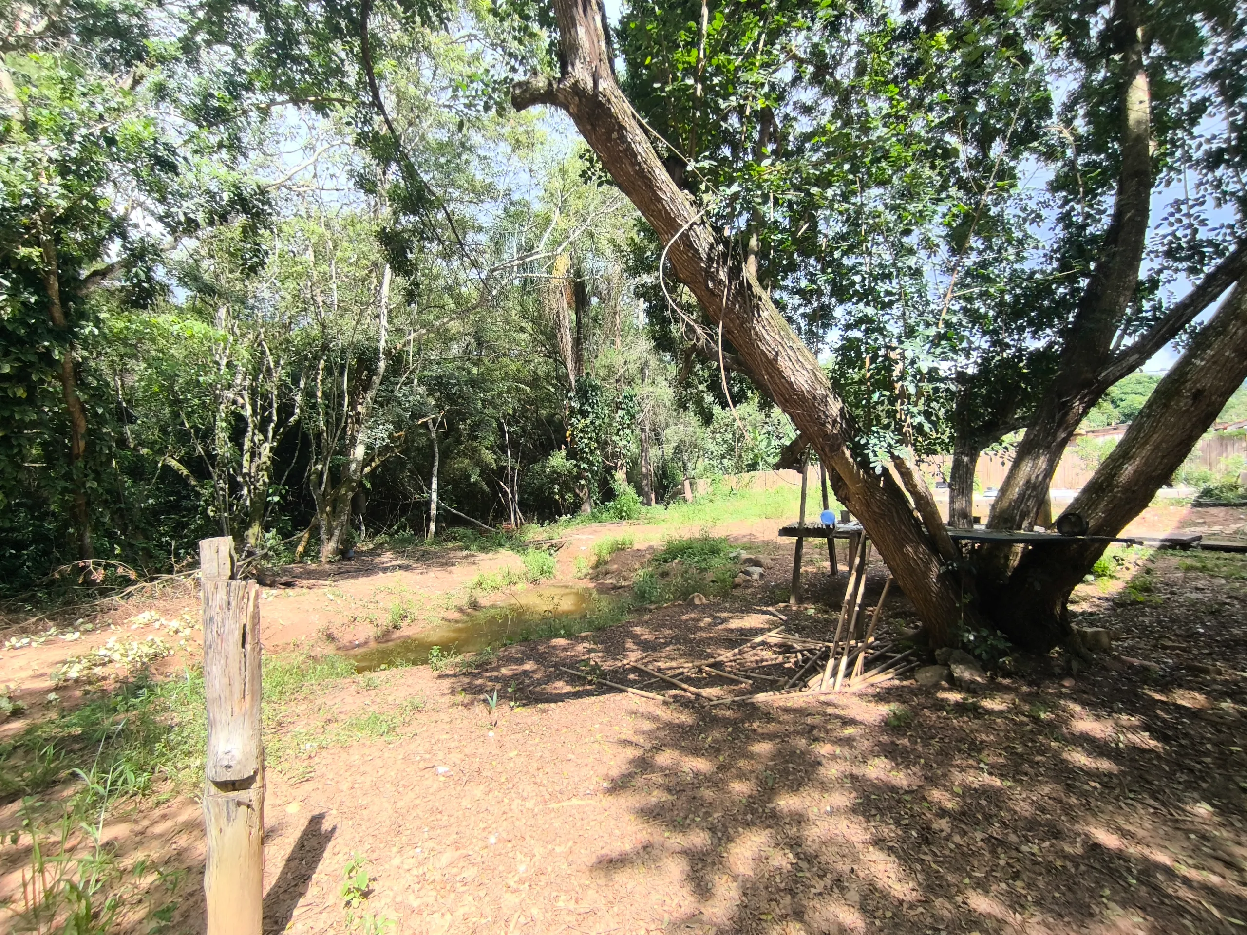 Sítio à venda e para Arrendar de 2.033 ha em Poços de Caldas, MG, Brasil