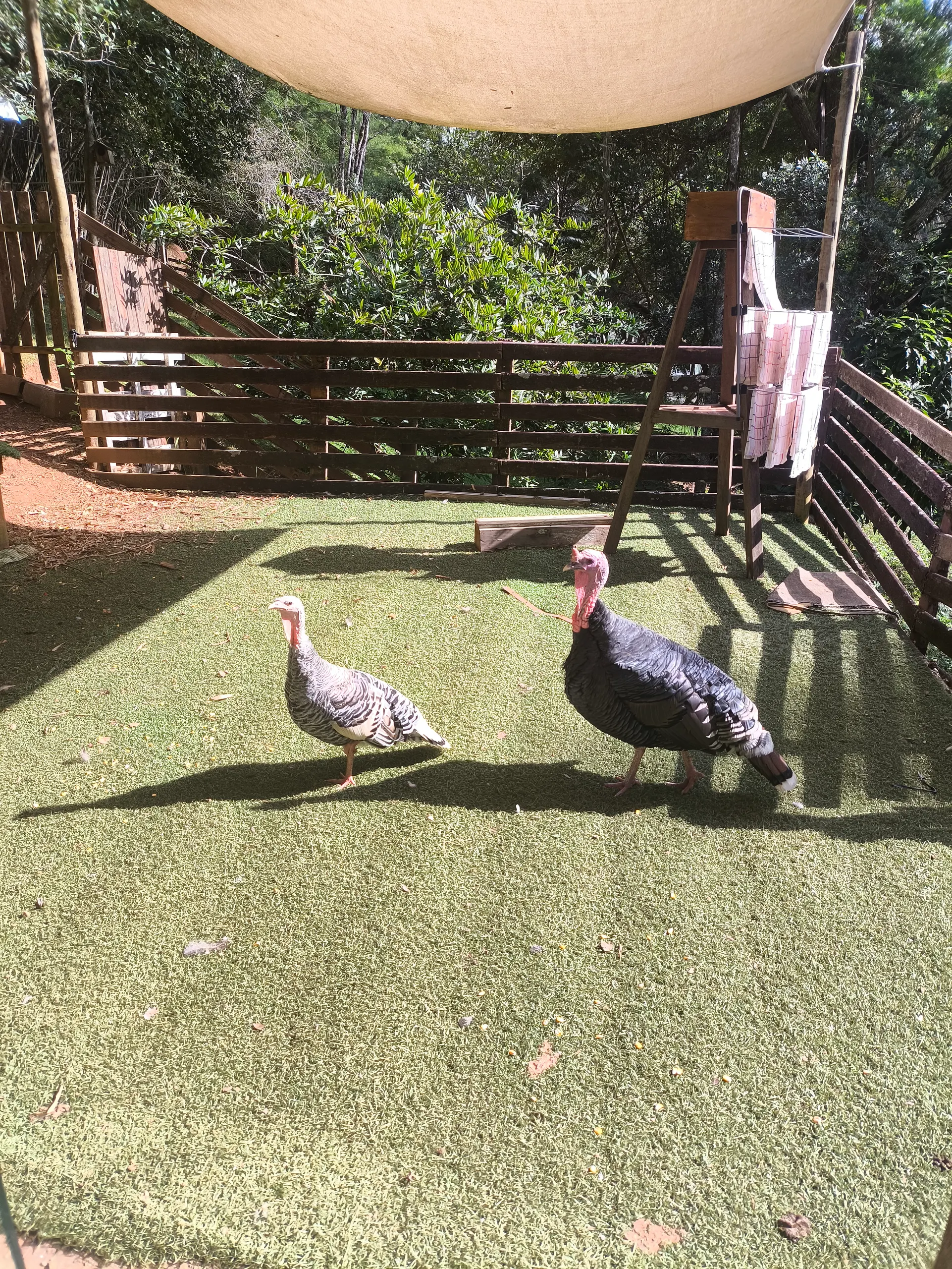 Sítio à venda e para Arrendar de 2.033 ha em Poços de Caldas, MG, Brasil