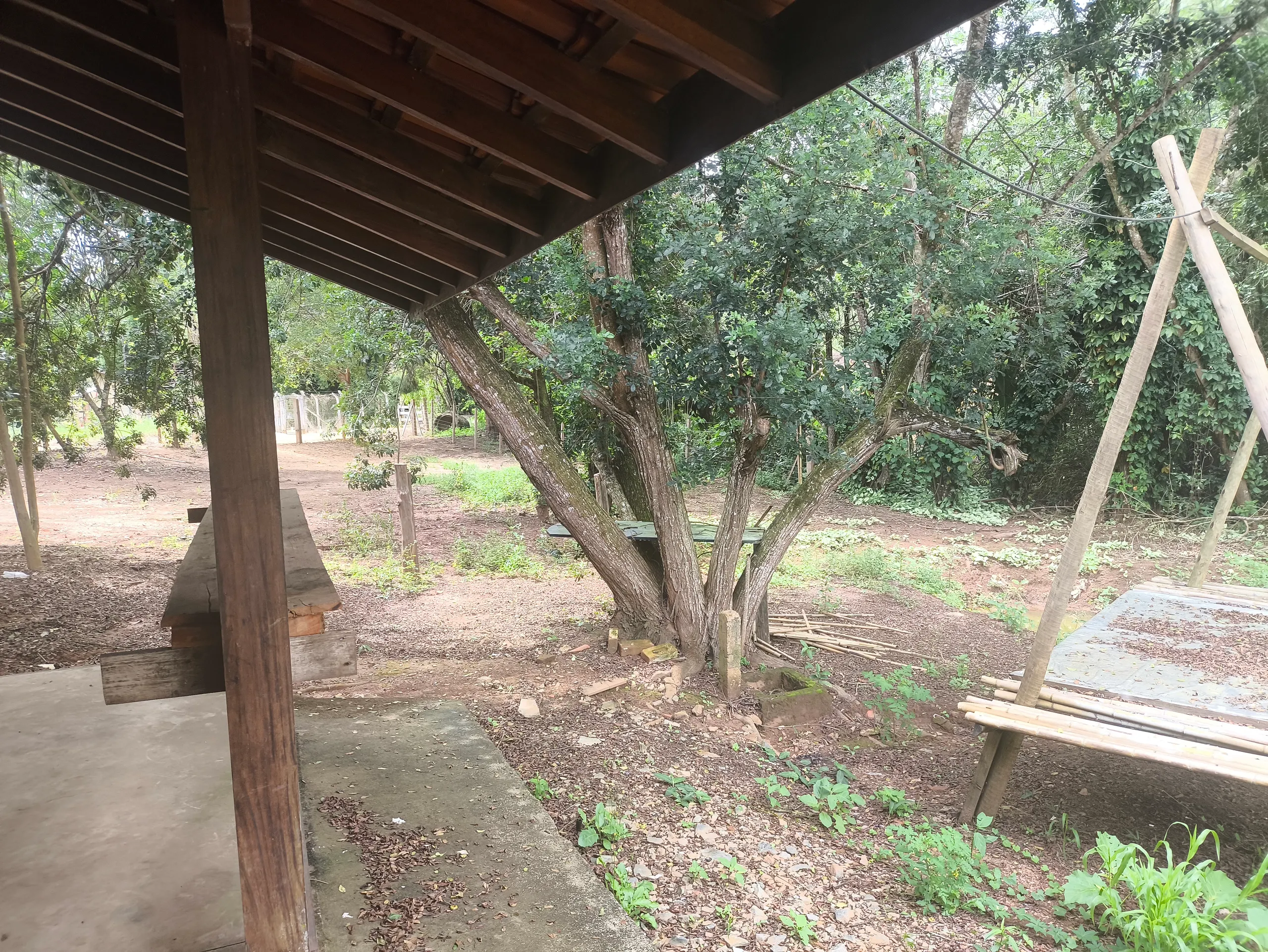 Sítio à venda e para Arrendar de 2.033 ha em Poços de Caldas, MG, Brasil