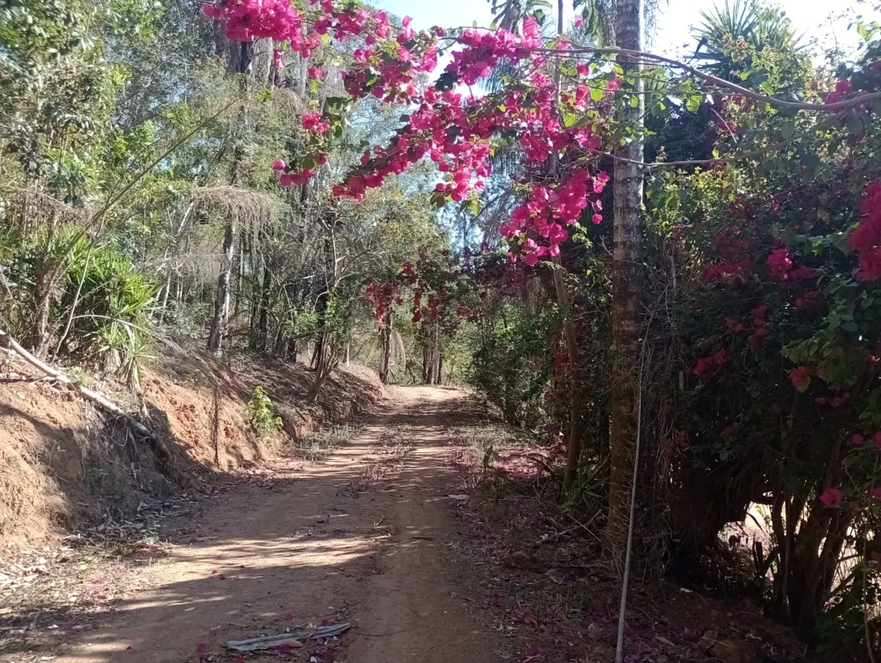 Sítio à venda e para Arrendar de 2.033 ha em Poços de Caldas, MG, Brasil