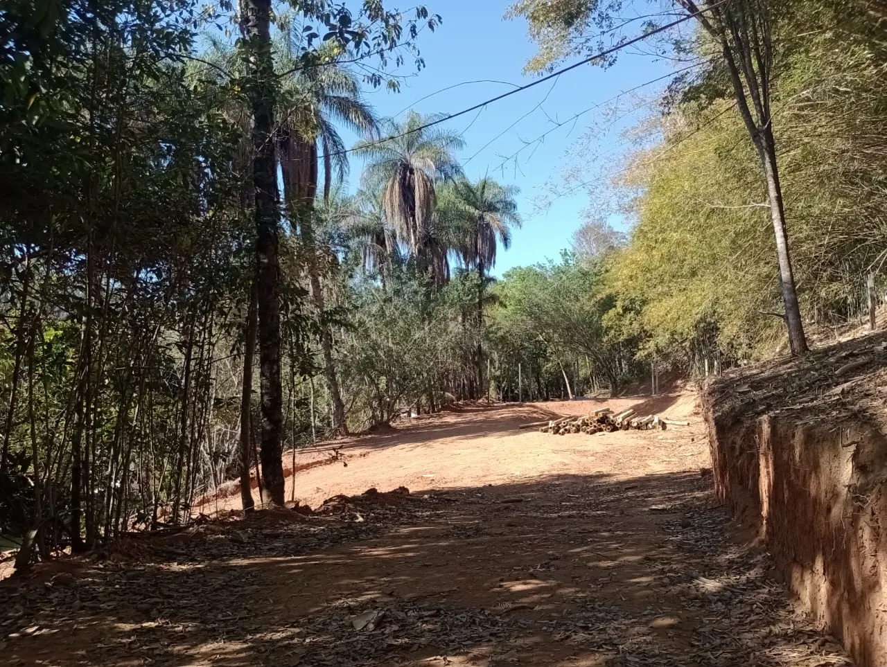 Sítio à venda e para Arrendar de 2.033 ha em Poços de Caldas, MG, Brasil