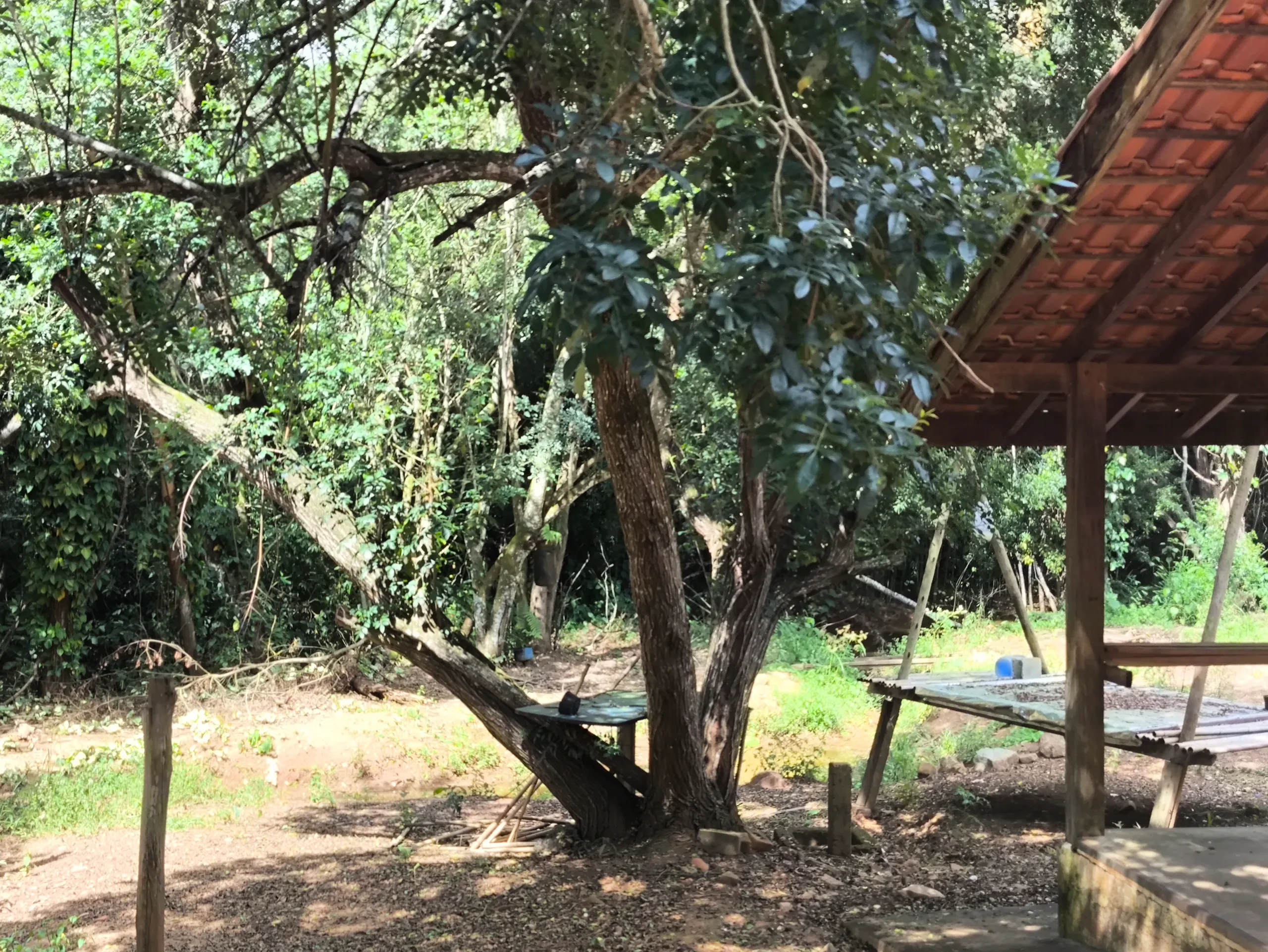 Sítio à venda e para Arrendar de 2.033 ha em Poços de Caldas, MG, Brasil